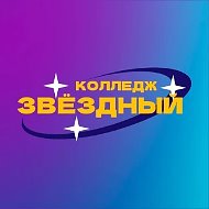 Санкт-Петербургское государственное бюджетное профессиональное образовательное учреждение "Колледж "Звёздный"