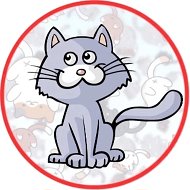 Без Кота жизнь не та