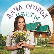 Дача Огород Цветы