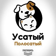 Усатый Полосатый | собаки | кошки | животные | юмор | приколы