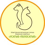"УСАТЫЕ-ПОЛОСАТЫЕ" - помощь БЕЗДОМНЫМ животным