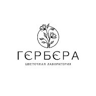 ГЕРБЕРА ЦВЕТЫ СТАВРОПОЛЬ