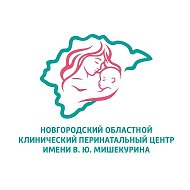 Новгородский перинатальный центр