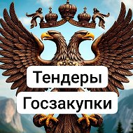 Тендеры госзакупки Евгений Цыганов