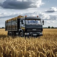 BLACK LOGISTIC