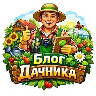 Блог дачника
