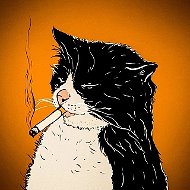 Животные Коты собаки собачки хомяки попугай кошки котенок