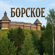 Администрация сельского поселения Борское Самарской области
