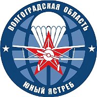 ГАУ ДО ВО СШ "Юный ястреб" им А.М. Числова"