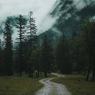 Прогуляемся?