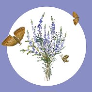 Уроки рисования АРТ ВЕРЕСК