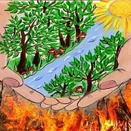 Бурейское лесничество