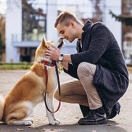 Собаки Чаты 🐶