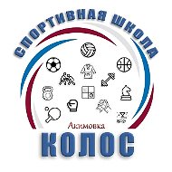 Спортивная школа "Колос" (Акимовка)