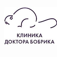 Стоматологическая клиника доктора Бобрика.