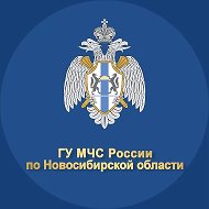 МЧС Новосибирской области