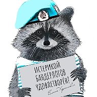 Енот из Херсона