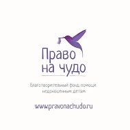 Право на чудо. Фонд помощи недоношенным детям
