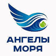 "АНГЕЛЫ МОРЯ" - Общественная инициатива (Штаб "Дельфины" Спасаем море - Александр Кирпа)