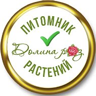 Жизнь питомника "Долина роз"