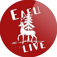 Елец LIVE