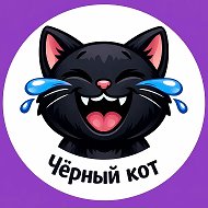 Черный кот 😹 Юмор • Приколы • Мемы • Шутки • Анекдоты