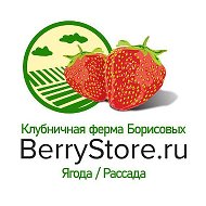Клубничная ферма Борисовых