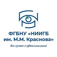 ФГБНУ «НИИГБ им. М.М. Краснова»