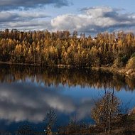 СНТ "Заозёрное 1". Соседи.