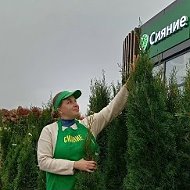 Садовый центр Сияние Кострома