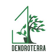 Dendroterra