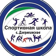 Спортивная жизнь МБУ ДО СШ "Триумф" с. Дзержинское
