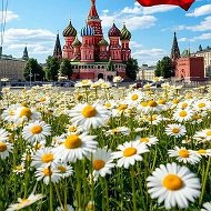 Администрация Чистоозёрского сельсовета