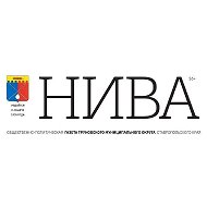 Нива