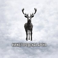 Нижегородская арена | Спорт Нижний Новгород
