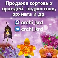 Продажа сортовых орхидей, подростков, орхиаты и т.д.