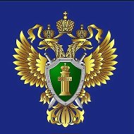 Амурская бассейновая природоохранная прокуратура