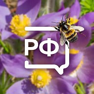 Объясняем. Ленинградская область