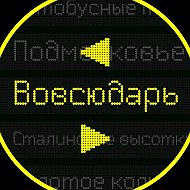 Вовсюдарь