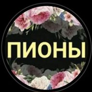 Пион-Волгоград