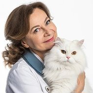 Язык кошек с Анной Беловой