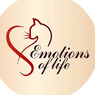 EMOTIONS OF LIFE