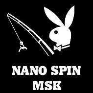 NanoSpinMsk