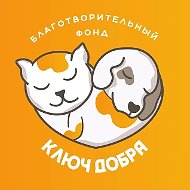 Ключ добра - фонд помощи животным, Горячий ключ