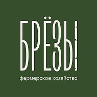 Ферма БРЁЗЫ