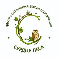"Сердце Леса" - помощь диким животным. Воронеж.