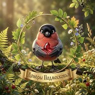 Доноры Подмосковья
