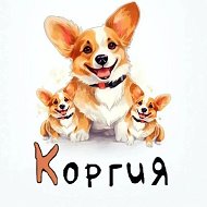 КоргиЯ / Корги / Собаки / Милые Видео