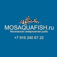 Московская аквариумная рыба