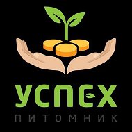 ПИТОМНИК УСПЕХ🍀РАСТЕНИЯ ОПТОМ
